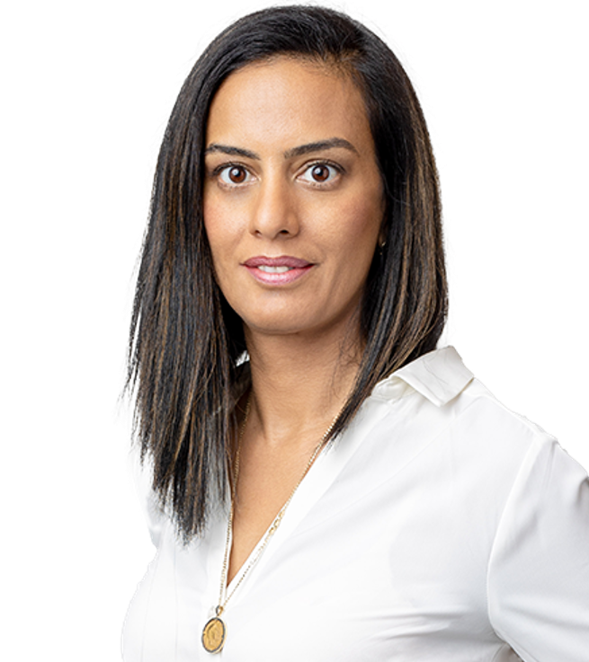 מירב שלם פאני